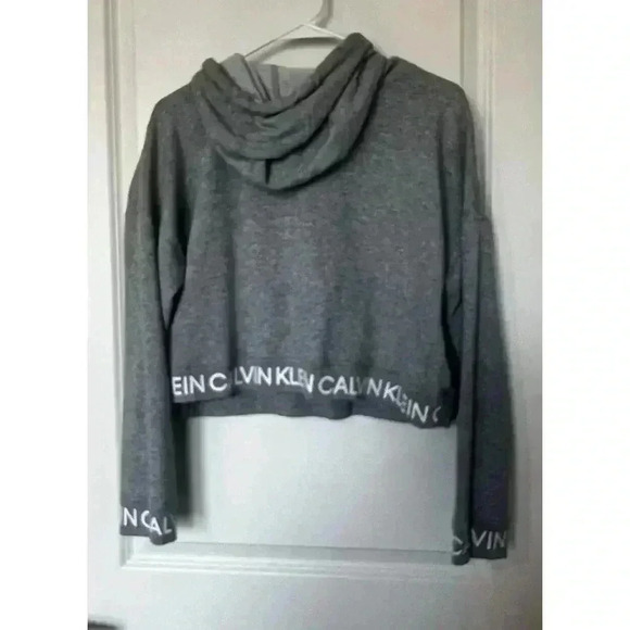 Calvin Klein Womens Athletic Gray Cropped Hooded Sweater Size L (0464) - Picture 2 of 4